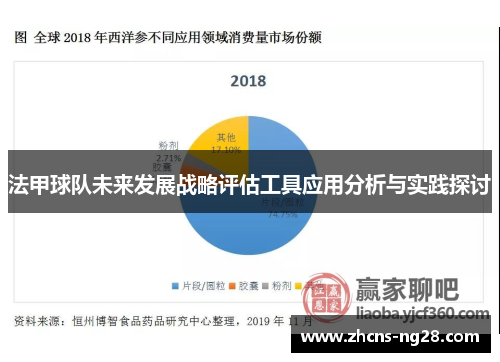 法甲球队未来发展战略评估工具应用分析与实践探讨