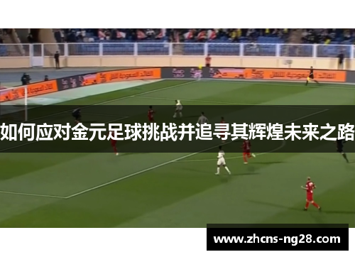 如何应对金元足球挑战并追寻其辉煌未来之路