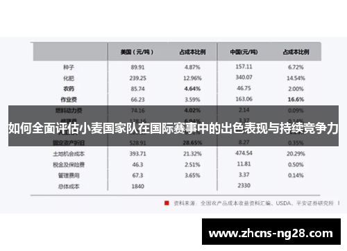 如何全面评估小麦国家队在国际赛事中的出色表现与持续竞争力