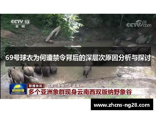 69号球衣为何遭禁令背后的深层次原因分析与探讨