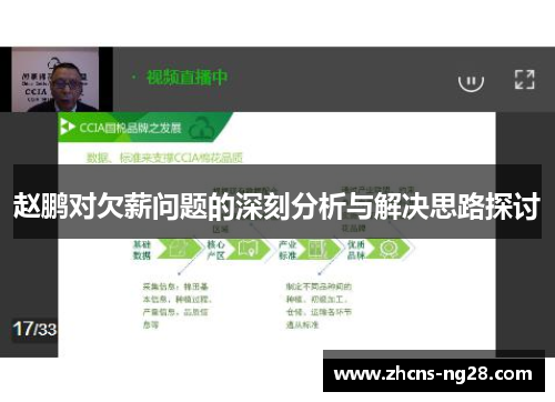 赵鹏对欠薪问题的深刻分析与解决思路探讨