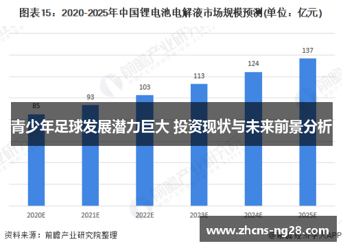 青少年足球发展潜力巨大 投资现状与未来前景分析