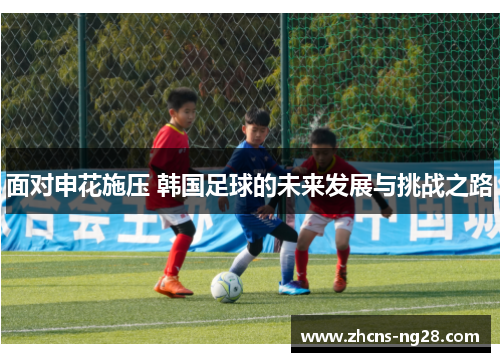 面对申花施压 韩国足球的未来发展与挑战之路